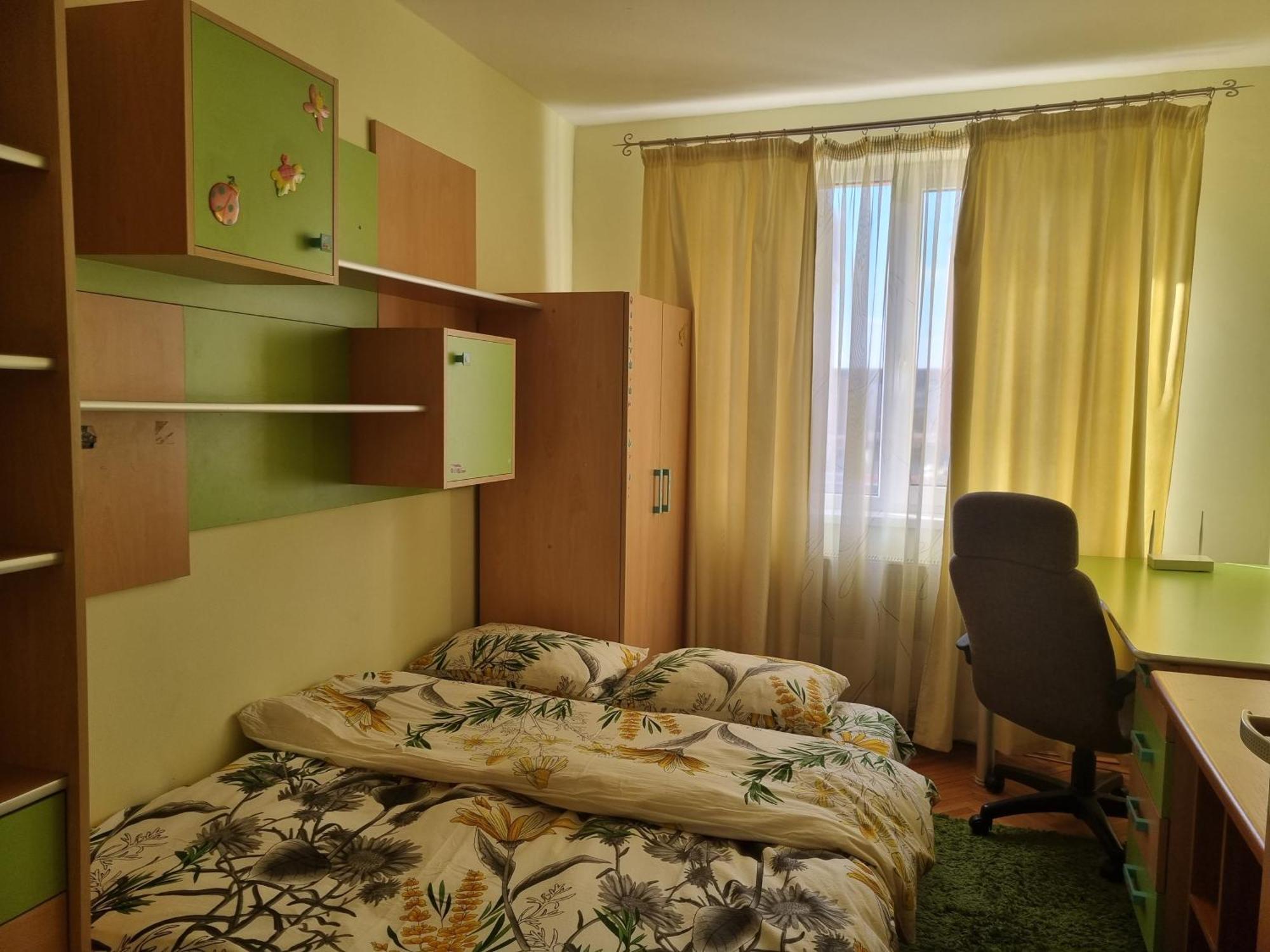 Nice & Relaxing Central Apartment Baia Mare Extérieur photo